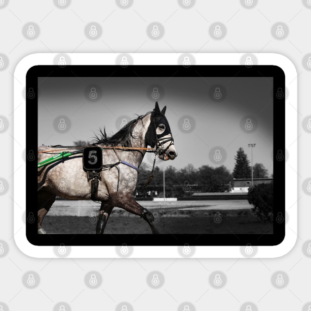 harness horse cart racing - 5 Sticker by hottehue